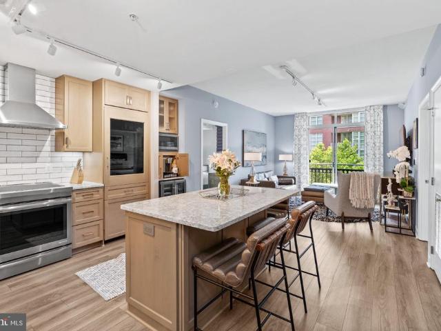 155 Potomac Psge # 413