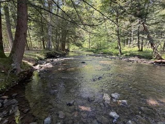 1561 Beaver Dam Rd, Hollidaysburg, PA 16648