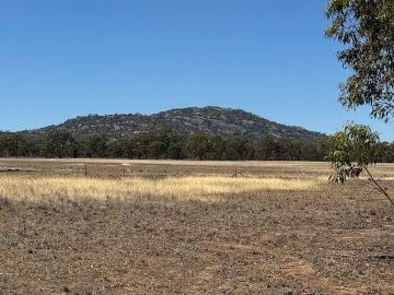 156.7 ACRES FARMLAND