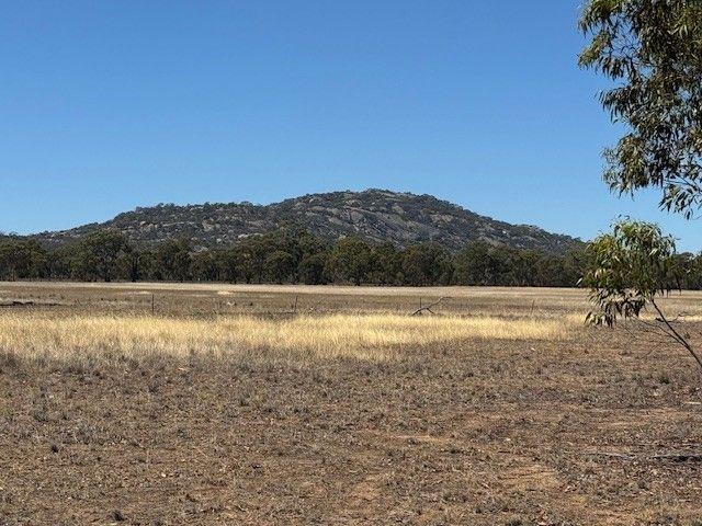 156.7 ACRES FARMLAND