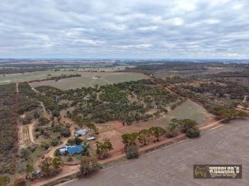 156 Acres With Sandalwood Plantation. Well Set Up For Horses and/or Cropping
