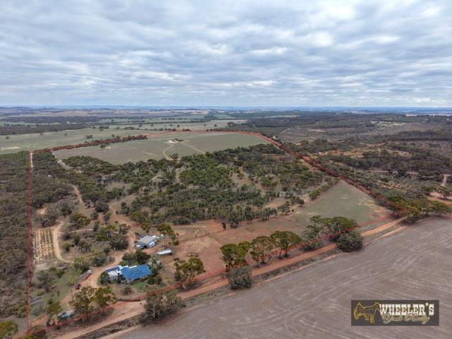 156 Acres With Sandalwood Plantation. Well Set Up For Horses and/or Cropping