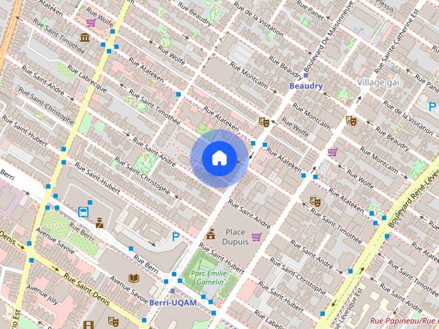 1570 Rue Saint Timothée, Montréal, QC H2L 3N9