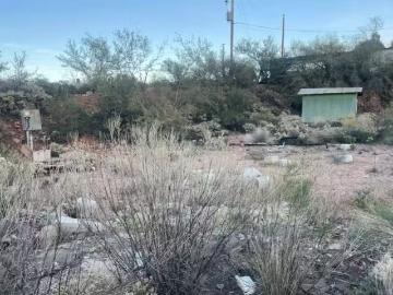 157 E PUNKIN CENTER RD, TONTO BASIN, AZ 85553
