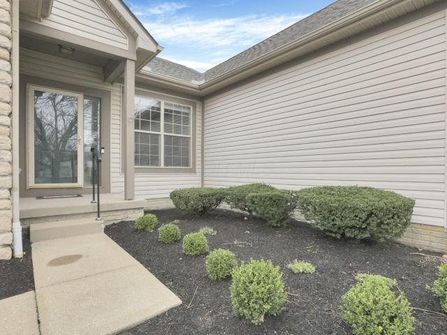 157 Pebble Creek Drive