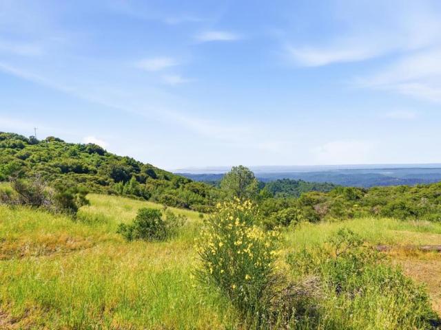 15880 Soda Springs Road