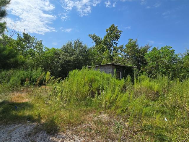 1589 County Road 3545