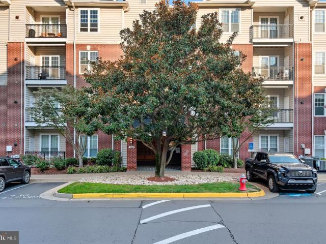 1581 Spring Gate Drive # 5203