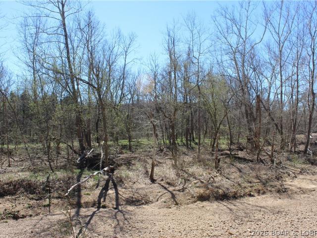 158 Ponder Slab Road