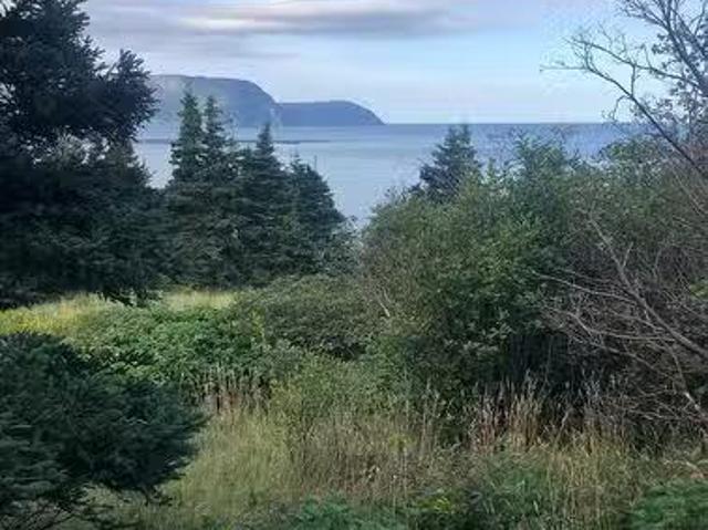 158A Main Street N, Rocky Harbour, NL, A0K 4N0 vacant land f.