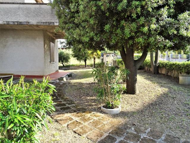 15 vani 550mq