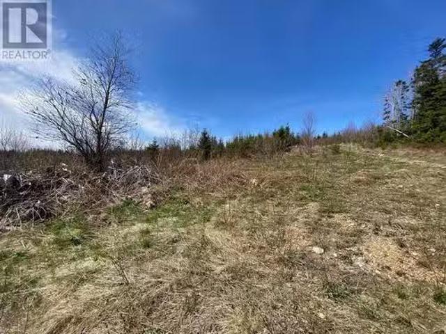 15 Brakes Lane, Meadows, NL, A2H 6B9 vacant land for sale L.