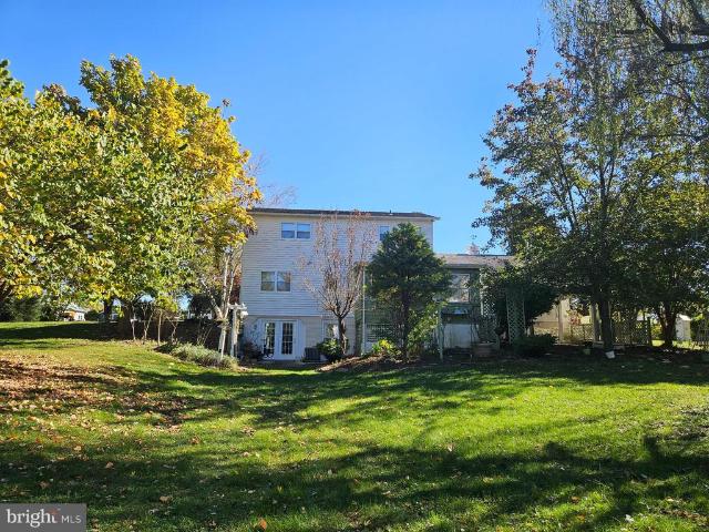15 Easy Street