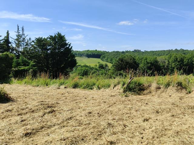 15 minutes LANGON Maison 3 ch. jardin