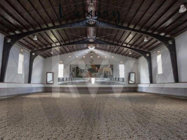 15 quarto, Sintra Sintra 102289527