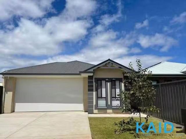 15A Andrew Avenue, Marion, SA 5043