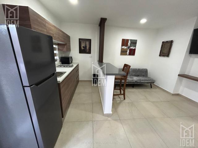 1604 Departamento en renta Residencial Periferico, San Nicol?s NL