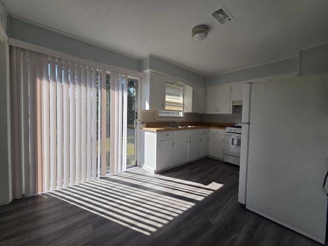 1606 Palomino