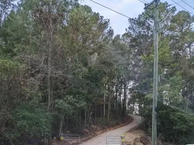 16091 JACKSON TRACE RD # 0, LINCOLN, AL 35096