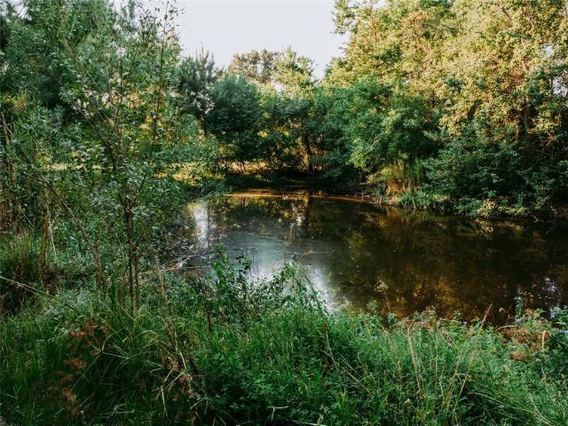 1609 County Road 2626, Alto, TX 75925 | MLS #26007