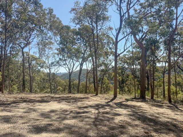160 Acres of Ridgetop Paradise