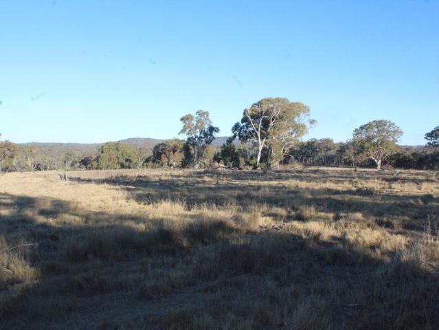 160 ACRES OF RURAL OPPORTUNITY & LIFESTYLE
