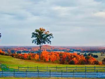 Morgan County, Alabama, Alabama, USA - Equipped kitchen