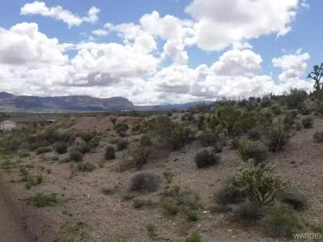 160 W Dunn Dr, Meadview, AZ 86444 MLS 031618