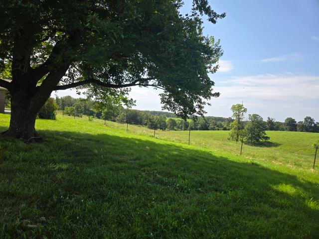 16159 Farm Road 2147