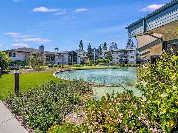 1616 circa del lago c #108