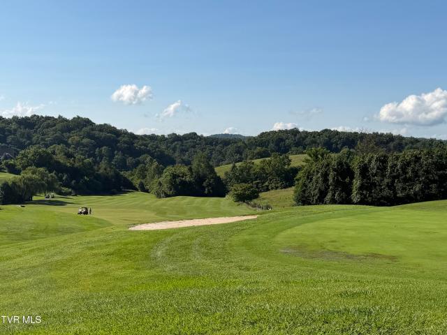161 Golf Ridge Drive