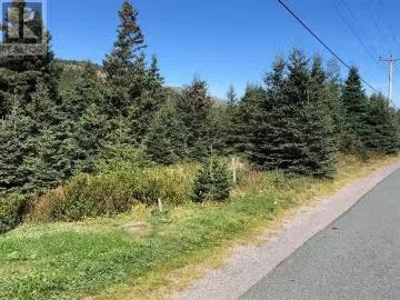 161 Seaforest Drive, Cupids, NL, A0A 2B0 vacant land for sal.