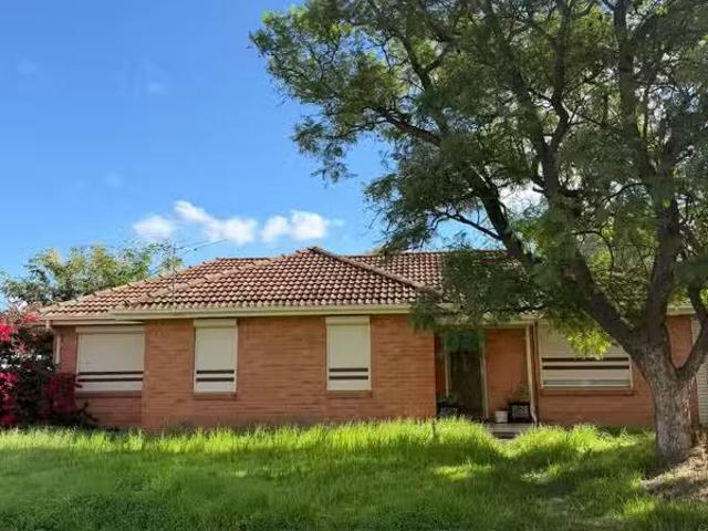 161 Peachey Road, DAVOREN PARK, SA 5113 House for Rent