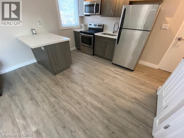 161 WELLINGTON Street N Unit# 205, Hamilton, Ontario, L8N1N4