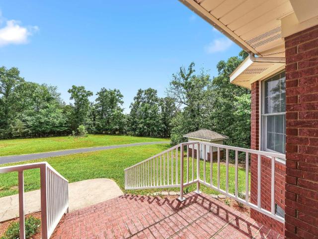 161 White Tail Drive