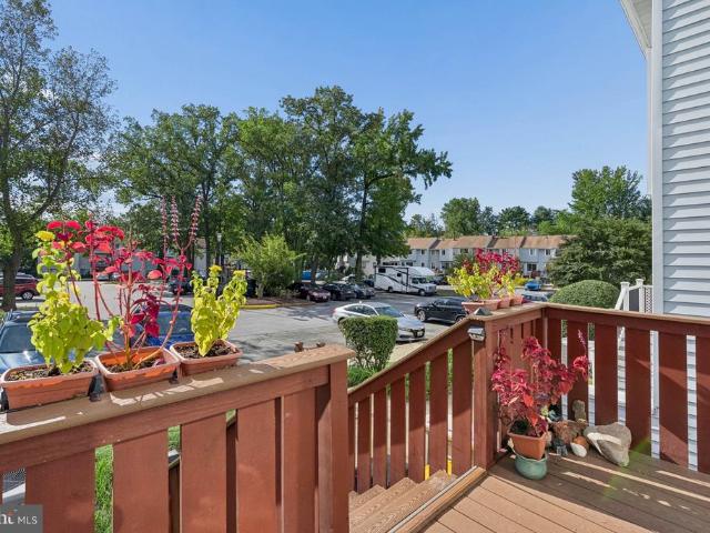 1624 Grason Lane