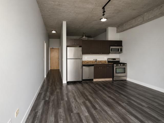 1620 S Michigan Avenue # 918