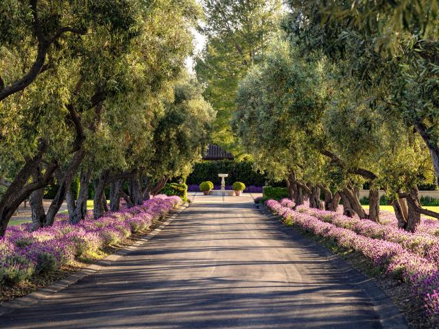 1620 Westerly Rd, Santa Ynez, CA 93460 | MLS #24 1881