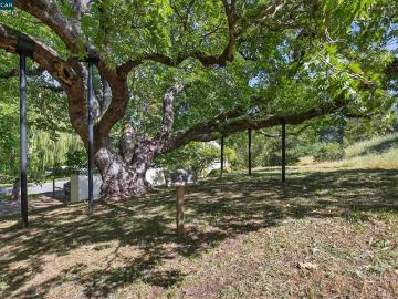 1621 Ptarmigan Dr, Unit 2A, Walnut Creek, CA 94595 | MLS #41130