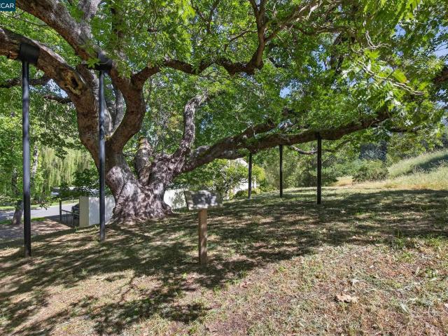 1621 Ptarmigan Dr, Unit 2A, Walnut Creek, CA 94595 | MLS #41130