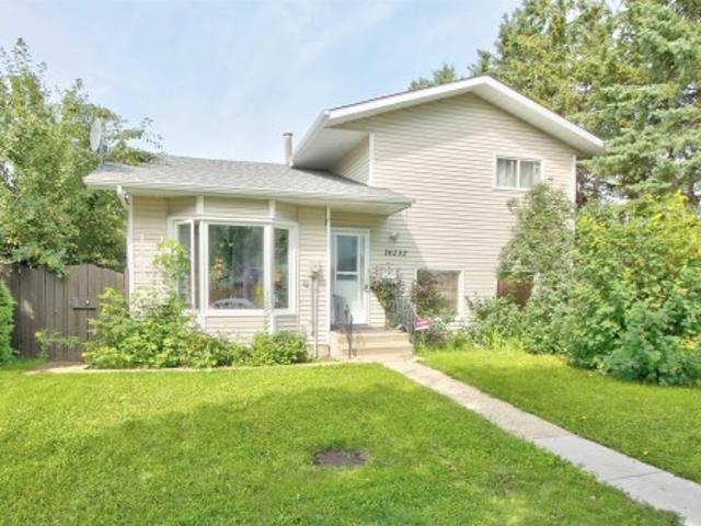 16232 Street Nw, Edmonton, AB, T5X 4R7 house for sale | Listing ID E4503 | Royal LePage