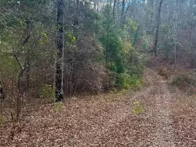 162 COUNTY ROAD 20 E, MARBURY, AL 36051