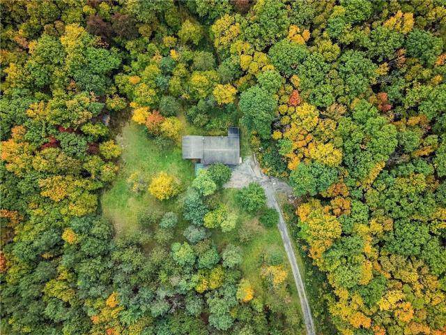 162 White Pine Lane
