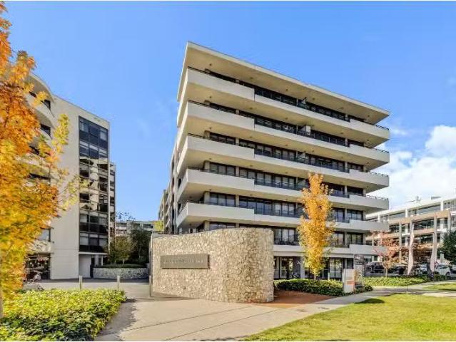 163/46 Macquarie Street, BARTON Apartment for rent Listed by.