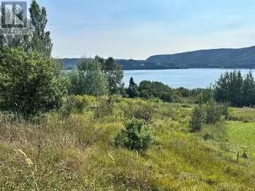 163 North Shore Highway, Meadows, NL, A2H 6B9 vacant land fo.