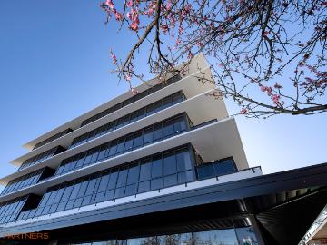 Curtin, Weston Creek, Yass Valley, Victoria