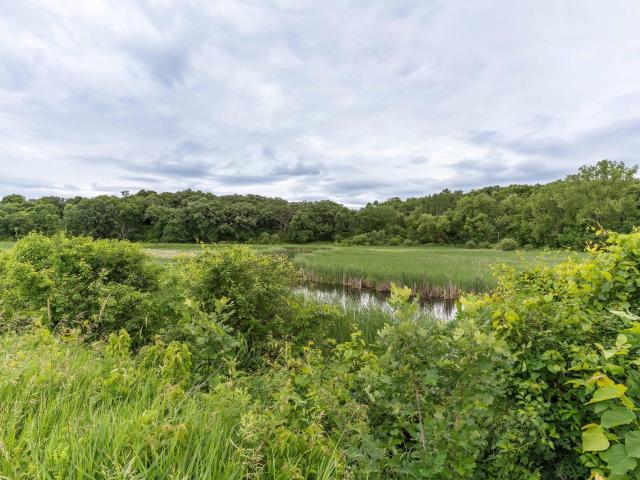16458 County Highway 35