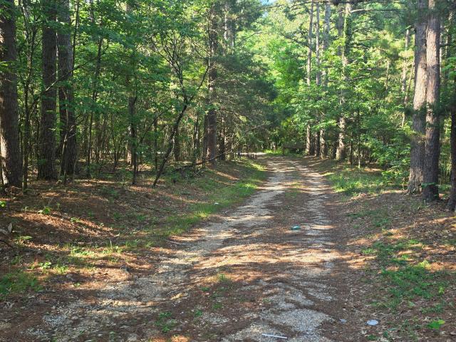 1640 County Road 203