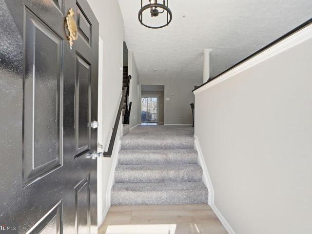16416 Elysian Lane