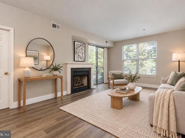 1641 International Drive # 308